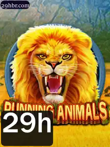 RunningAnimals: Uma Aventura Selvagem em 29h
